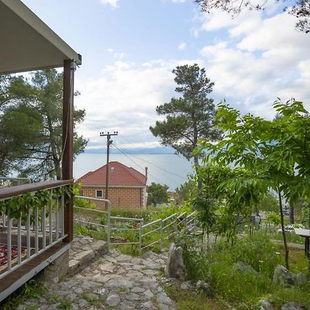 Among The Trees Villa Široka Kültér fotó