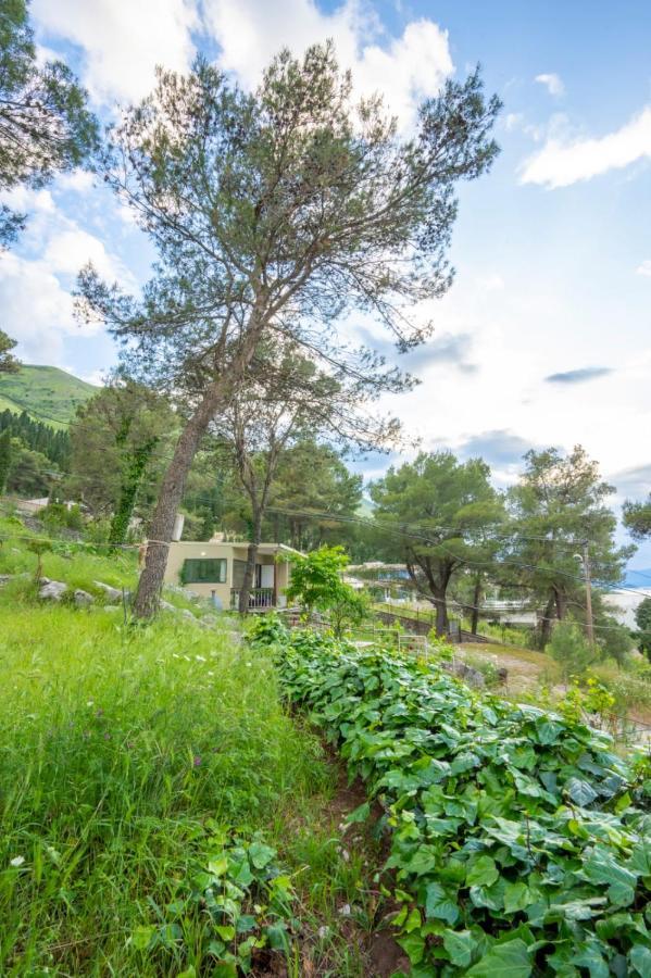 Among The Trees Villa Široka Kültér fotó