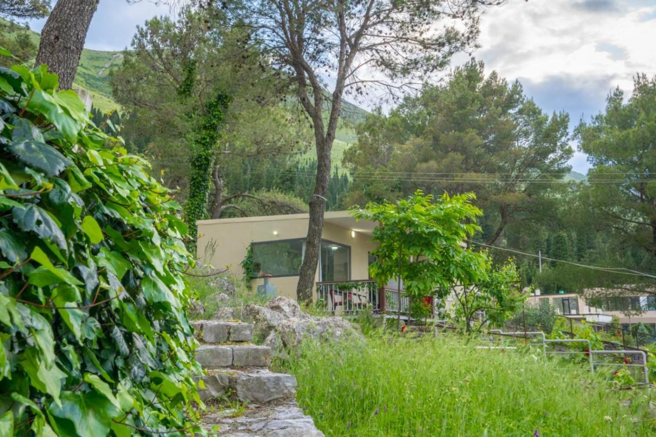 Among The Trees Villa Široka Kültér fotó